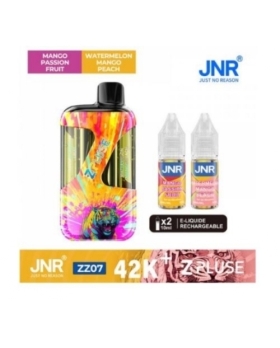 Zpluse 42K - JNR - Arôme : Mango Passion Fruit + Watermelon Mango Peach +2 flacons de 10 ml 