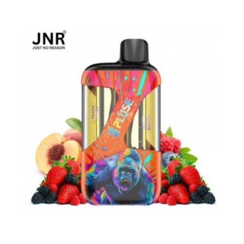 Zpluse 42K - JNR - Arôme : Mixed Berries + Peach Berry +2 flacons de 10 ml