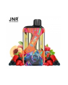 Zpluse 42K - JNR - Arôme : Mixed Berries + Peach Berry +2 flacons de 10 ml