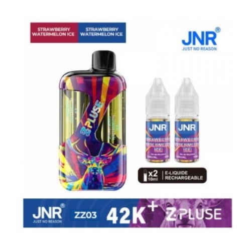 Zpluse 42K - JNR - Arôme : Strawberry Watermelon Ice +2 flacons de 10 ml 