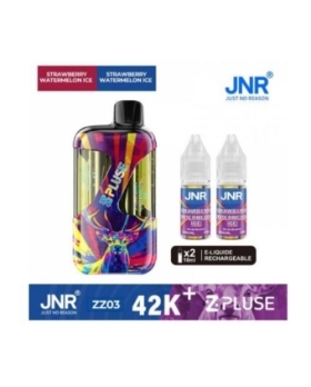 Zpluse 42K - JNR - Arôme : Strawberry Watermelon Ice +2 flacons de 10 ml 