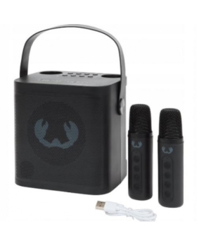 ENCEINTE FRESH REBEL KARAOKE +  2 MICROS