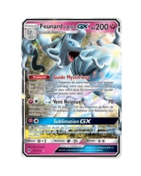FEUNARD D'ALOLA GX PV200 132/214