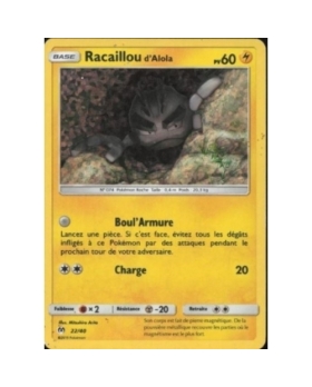 RACAILLOU 60PV 22/40