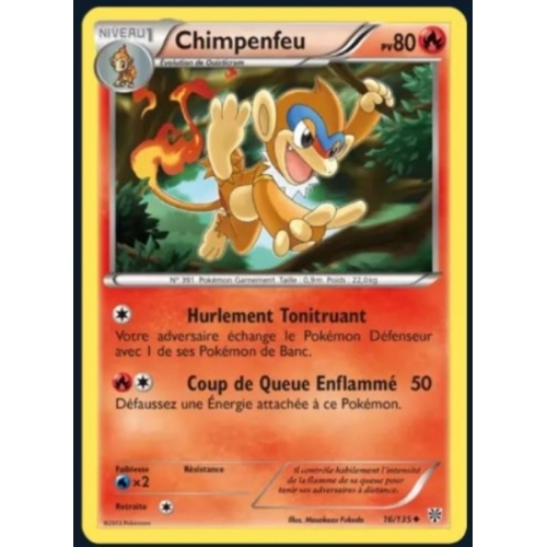 CHIMPENFEU PV80 16/135