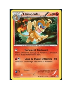 CHIMPENFEU PV80 16/135