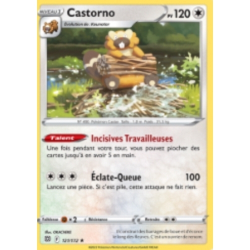 CASTORNO PV120 121/172