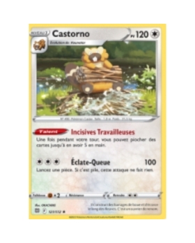 CASTORNO PV120 121/172