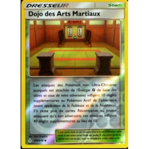 DOJO DES ARTS MARTIAUX REVERSE 179/214
