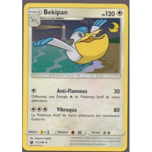 BEKIPAN PV120 112/168