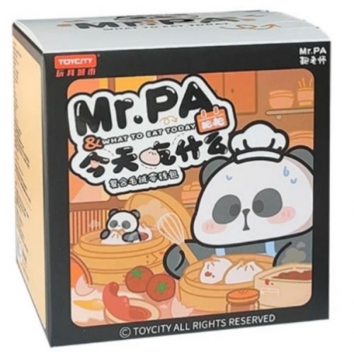 Mr. Pa: What to Eat Today SURPRISE BOX