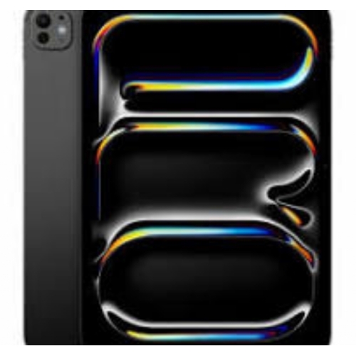 IPAD PRO M4 NOIR 11' A2836 256GO FACE ID + COQUE