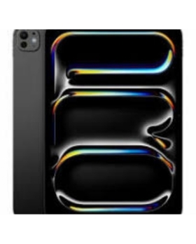 IPAD PRO M4 NOIR 11' A2836 256GO FACE ID + COQUE
