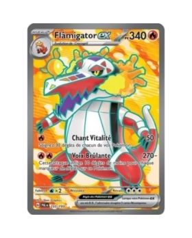 FLAMIGATOR EX PV340 233/193