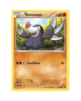 ROTOTAUPE PV60 55/98