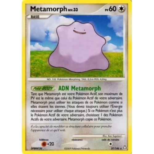 METAMORPH niv:33 PV60 27/146