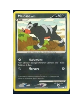 MALOSSE PV50 103/146