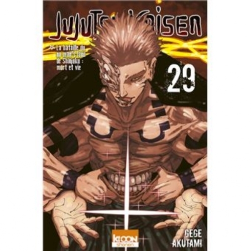 Jujutsu Kaisen T29