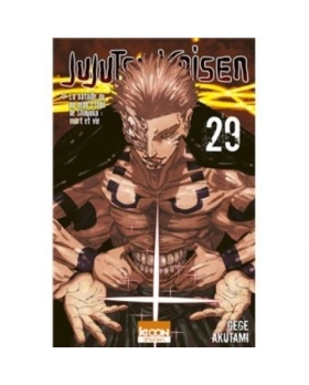 Jujutsu Kaisen T29