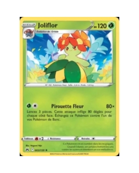 JOLIFLOR 120PV 003/159