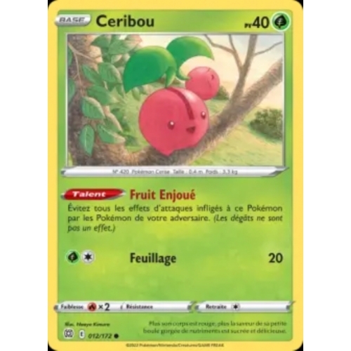 CERIBOU 40PV 012/172
