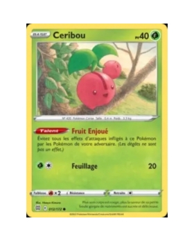 CERIBOU 40PV 012/172