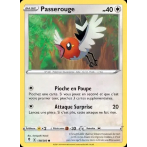 PASSEROUGE 40PV 138/203