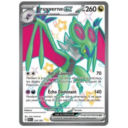 BRUYVERNE EX PV260 220/091