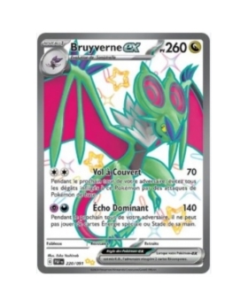 BRUYVERNE EX PV260 220/091