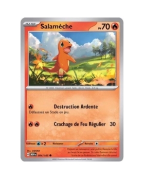 SALAMECHE 70PV 004/165