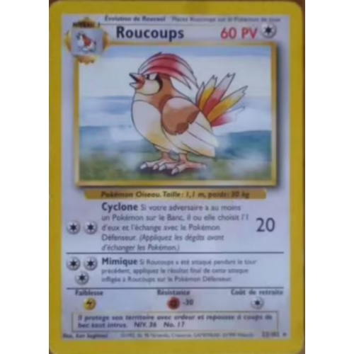 ROUCOUPS 60PV 22/102