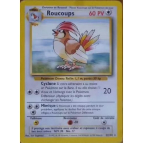 ROUCOUPS 60PV 22/102