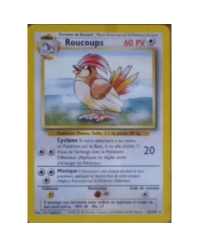 ROUCOUPS 60PV 22/102