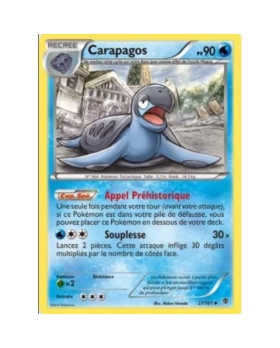 CARAPAGOS PV90 27/101