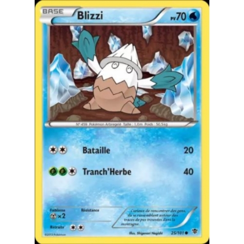 BLIZZI PV70 25/01