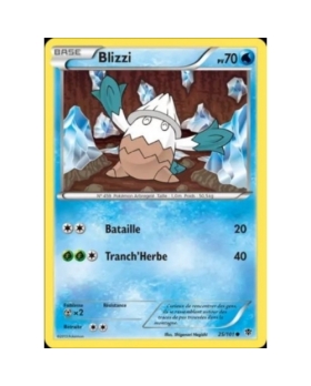 BLIZZI PV70 25/01
