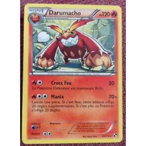 DARUMACHO PV120 25/114