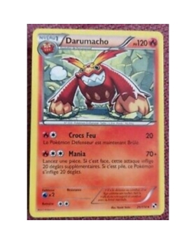 DARUMACHO PV120 25/114