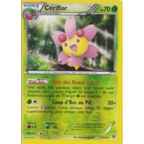 CERIFLOR REVERSE PV70 7/135