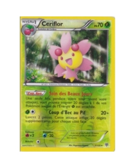 CERIFLOR REVERSE PV70 7/135