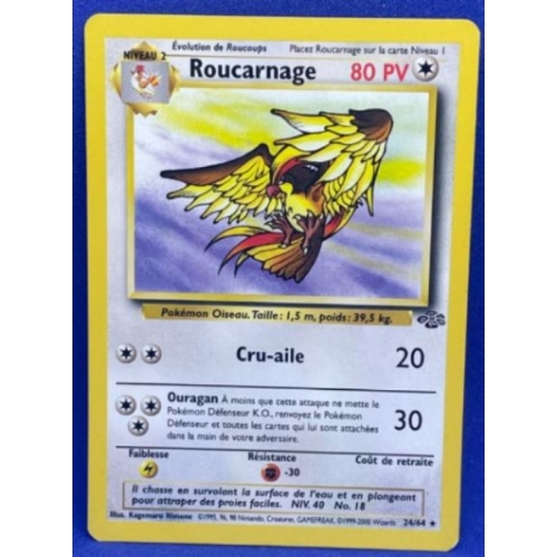 ROUCARNAGE PV80 24/64