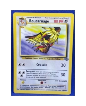 ROUCARNAGE PV80 24/64