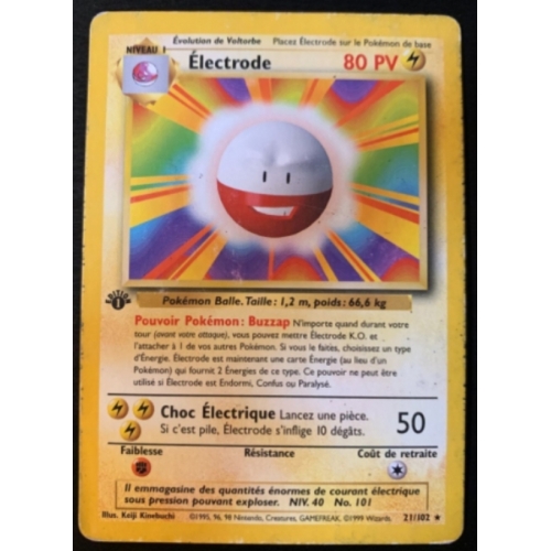ELECTRODE PV80 21/102
