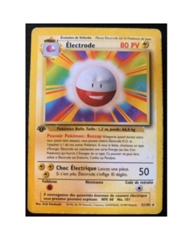 ELECTRODE PV80 21/102