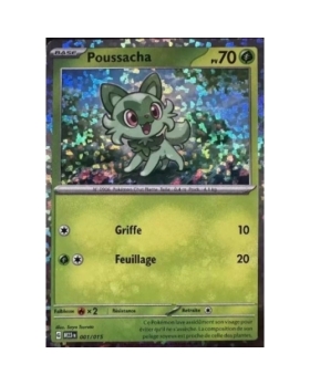 POUSSACHA 70PV 001/015