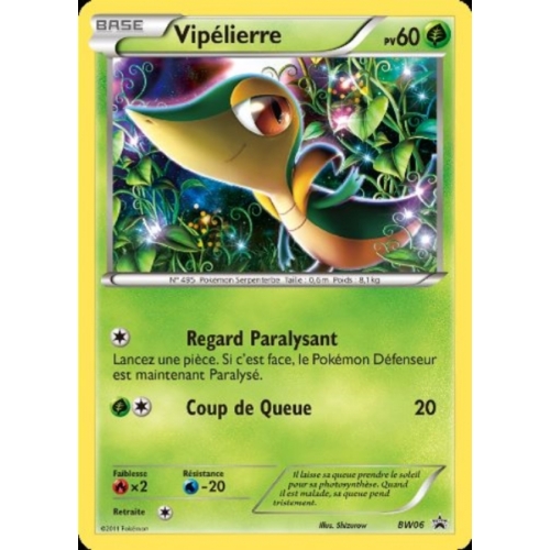 VIPELIERRE 60PV BW06