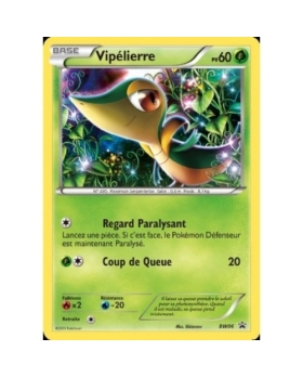 VIPELIERRE 60PV BW06