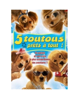5 TOUTOUS PRETS A TOUT DVD