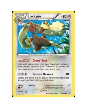 LOCKPIN PV90 085/106