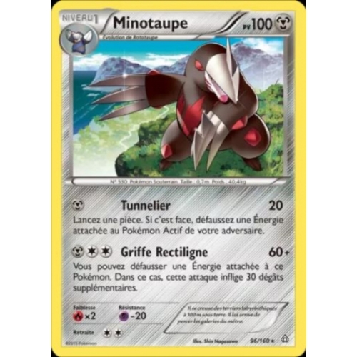 MINOTAUPE PV100 96/160